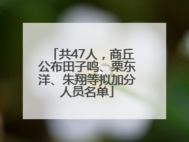 共47人，商丘公布田子鸣、栗东洋、朱翔等拟加分人员名单