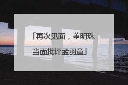 再次见面，董明珠当面批评孟羽童