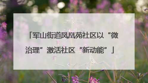 军山街道凤凰苑社区以“微治理”激活社区“新动能”