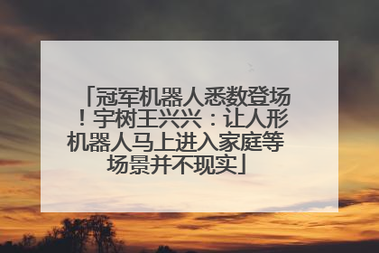 冠军机器人悉数登场！宇树王兴兴：让人形机器人马上进入家庭等场景并不现实