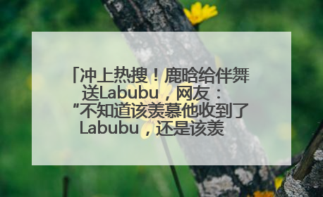 冲上热搜！鹿晗给伴舞送Labubu，网友：“不知道该羡慕他收到了Labubu，还是该羡慕鹿晗送他礼物”
