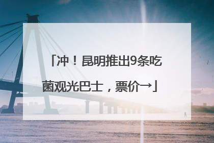 冲！昆明推出9条吃菌观光巴士，票价→