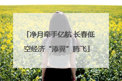 净月牵手亿航 长春低空经济“添翼”腾飞