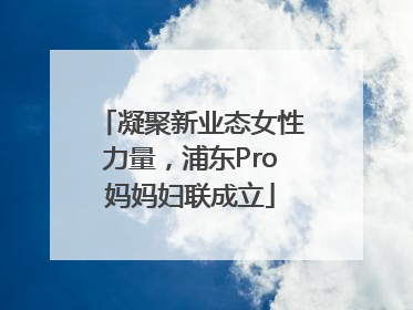 凝聚新业态女性力量，浦东Pro妈妈妇联成立