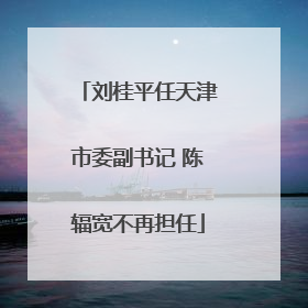 刘桂平任天津市委副书记 陈辐宽不再担任