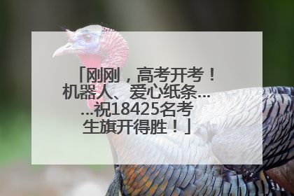 刚刚，高考开考！机器人、爱心纸条……祝18425名考生旗开得胜！