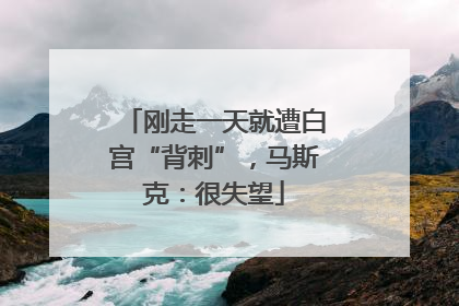刚走一天就遭白宫“背刺”，马斯克：很失望