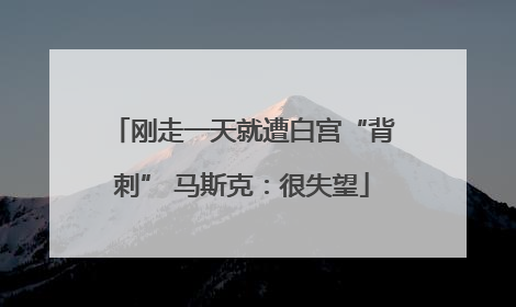 刚走一天就遭白宫“背刺” 马斯克：很失望