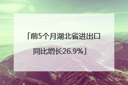 前5个月湖北省进出口同比增长26.9%