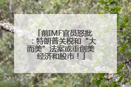前IMF官员怒批：特朗普关税和“大而美”法案或重创美经济和股市！