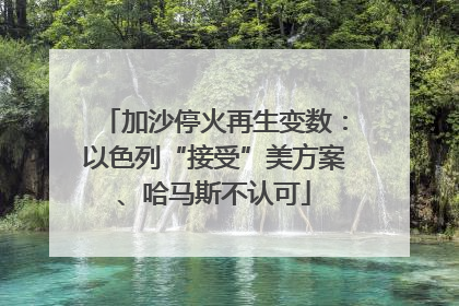 加沙停火再生变数：以色列“接受”美方案、哈马斯不认可