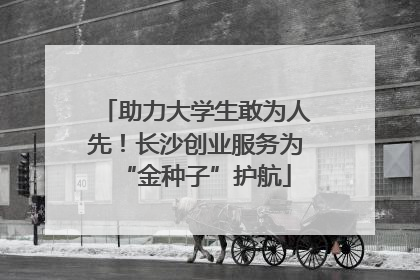 助力大学生敢为人先！长沙创业服务为“金种子”护航