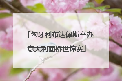 匈牙利布达佩斯举办意大利面桥世锦赛
