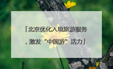 北京优化入境旅游服务，激发“中国游”活力