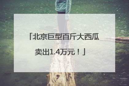 北京巨型百斤大西瓜卖出1.4万元！