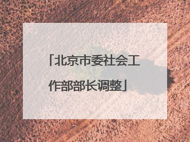 北京市委社会工作部部长调整