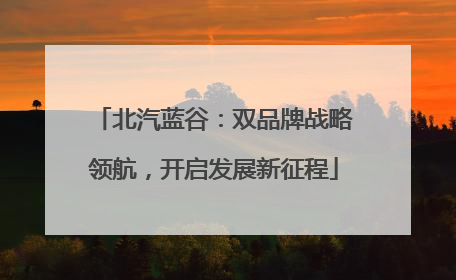 北汽蓝谷：双品牌战略领航，开启发展新征程
