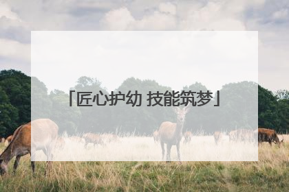 匠心护幼 技能筑梦