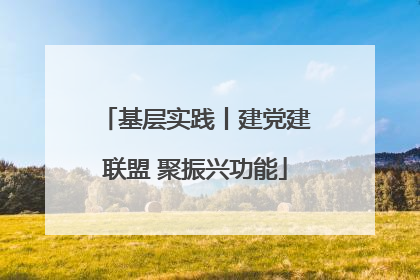 基层实践丨建党建联盟 聚振兴功能