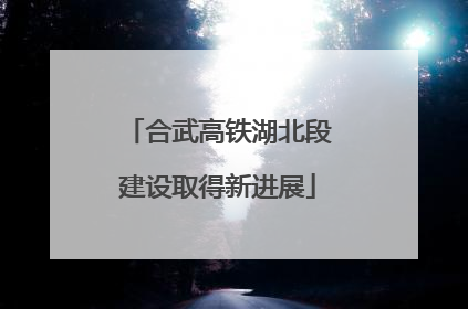 合武高铁湖北段建设取得新进展