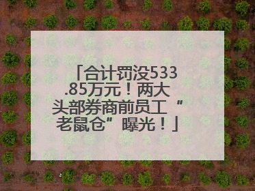 合计罚没533.85万元！两大头部券商前员工“老鼠仓”曝光！