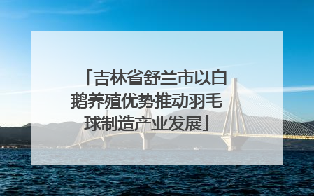 吉林省舒兰市以白鹅养殖优势推动羽毛球制造产业发展