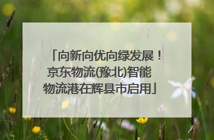 向新向优向绿发展！京东物流(豫北)智能物流港在辉县市启用