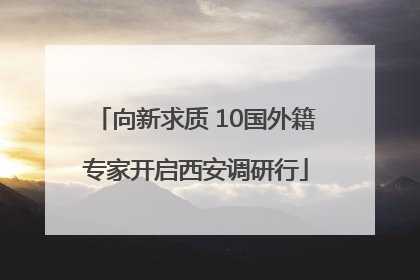 向新求质 10国外籍专家开启西安调研行