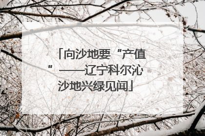 向沙地要“产值”——辽宁科尔沁沙地兴绿见闻