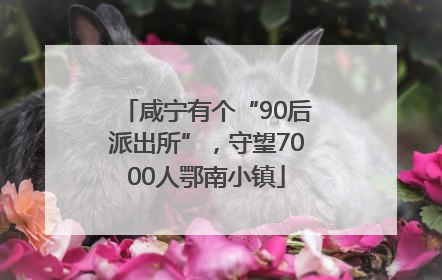咸宁有个“90后派出所”，守望7000人鄂南小镇