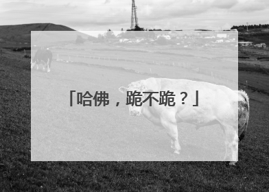 哈佛，跪不跪？