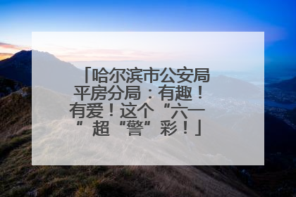 哈尔滨市公安局平房分局：有趣！有爱！这个“六一”超“警”彩！