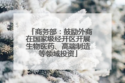 商务部：鼓励外商在国家级经开区开展生物医药、高端制造等领域投资