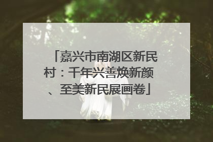 嘉兴市南湖区新民村：千年兴善焕新颜、至美新民展画卷