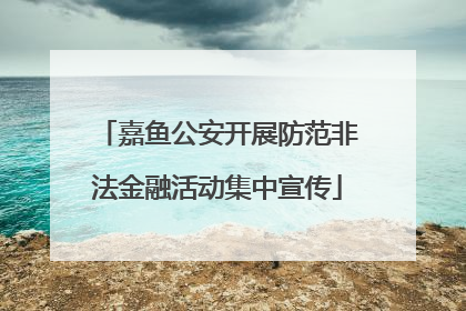 嘉鱼公安开展防范非法金融活动集中宣传