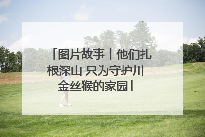 图片故事丨他们扎根深山 只为守护川金丝猴的家园