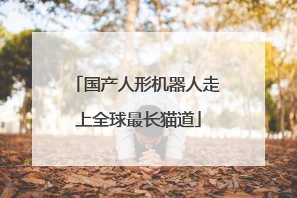 国产人形机器人走上全球最长猫道
