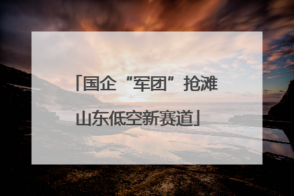 国企“军团”抢滩山东低空新赛道