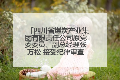 四川省煤炭产业集团有限责任公司原党委委员、副总经理张万松 接受纪律审查和监察调查
