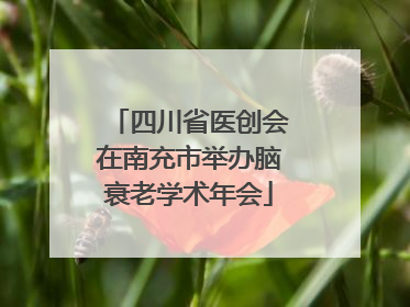 四川省医创会在南充市举办脑衰老学术年会