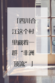 四川合江这个村里藏着一群“非洲顶流”