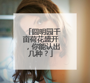 圆明园千亩荷花盛开，你能认出几种？