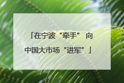 在宁波“牵手” 向中国大市场“进军”