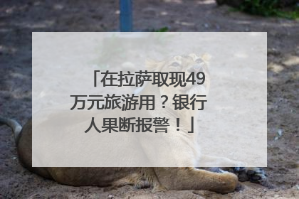 在拉萨取现49万元旅游用？银行人果断报警！