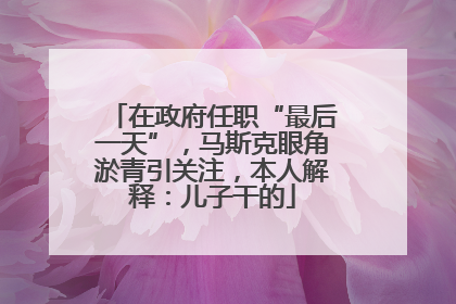 在政府任职“最后一天”，马斯克眼角淤青引关注，本人解释：儿子干的