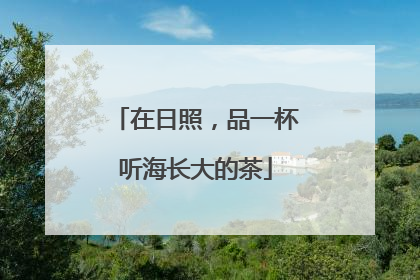 在日照，品一杯听海长大的茶
