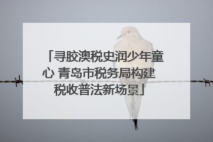 寻胶澳税史润少年童心 青岛市税务局构建税收普法新场景