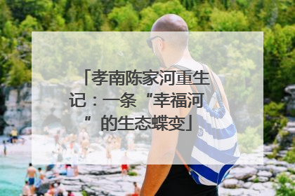 孝南陈家河重生记：一条“幸福河”的生态蝶变