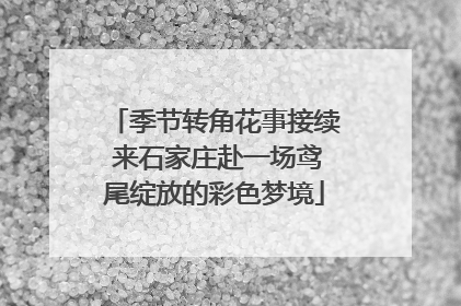 季节转角花事接续 来石家庄赴一场鸢尾绽放的彩色梦境
