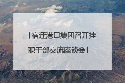 宿迁港口集团召开挂职干部交流座谈会